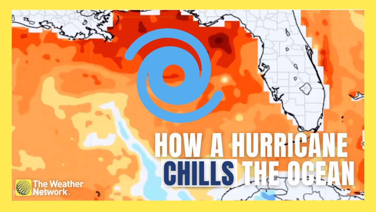 How Hurricane Idalia Dropped Ocean Temps by 8 Degrees