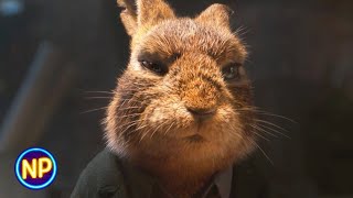 Farmer's Market Heist Plan | Peter Rabbit 2: The Runaway (2021)