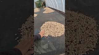 Las marquesinas o secadores solares de café si funcionan ,pero con ventilador.