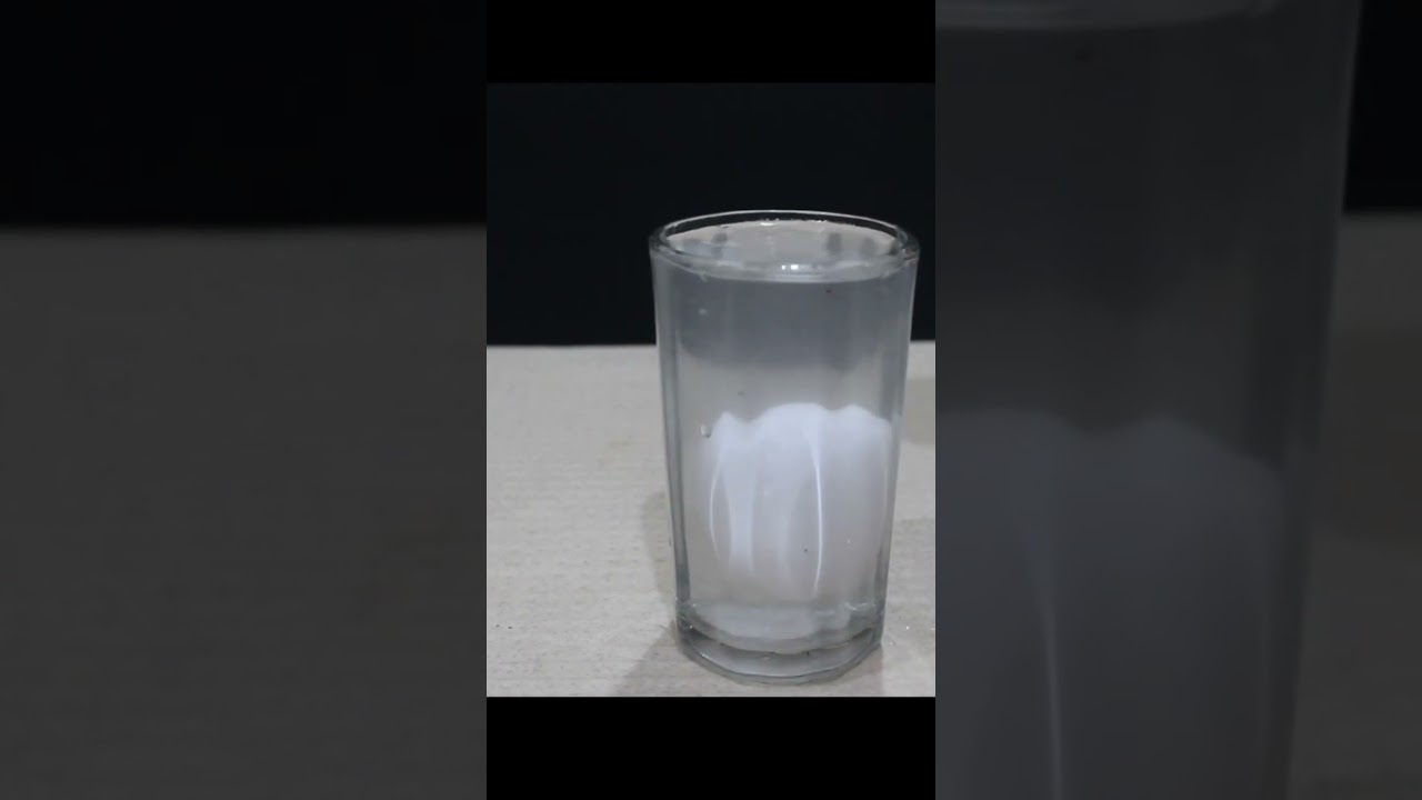 😃 Egg and Salt Water Experiment 😂 