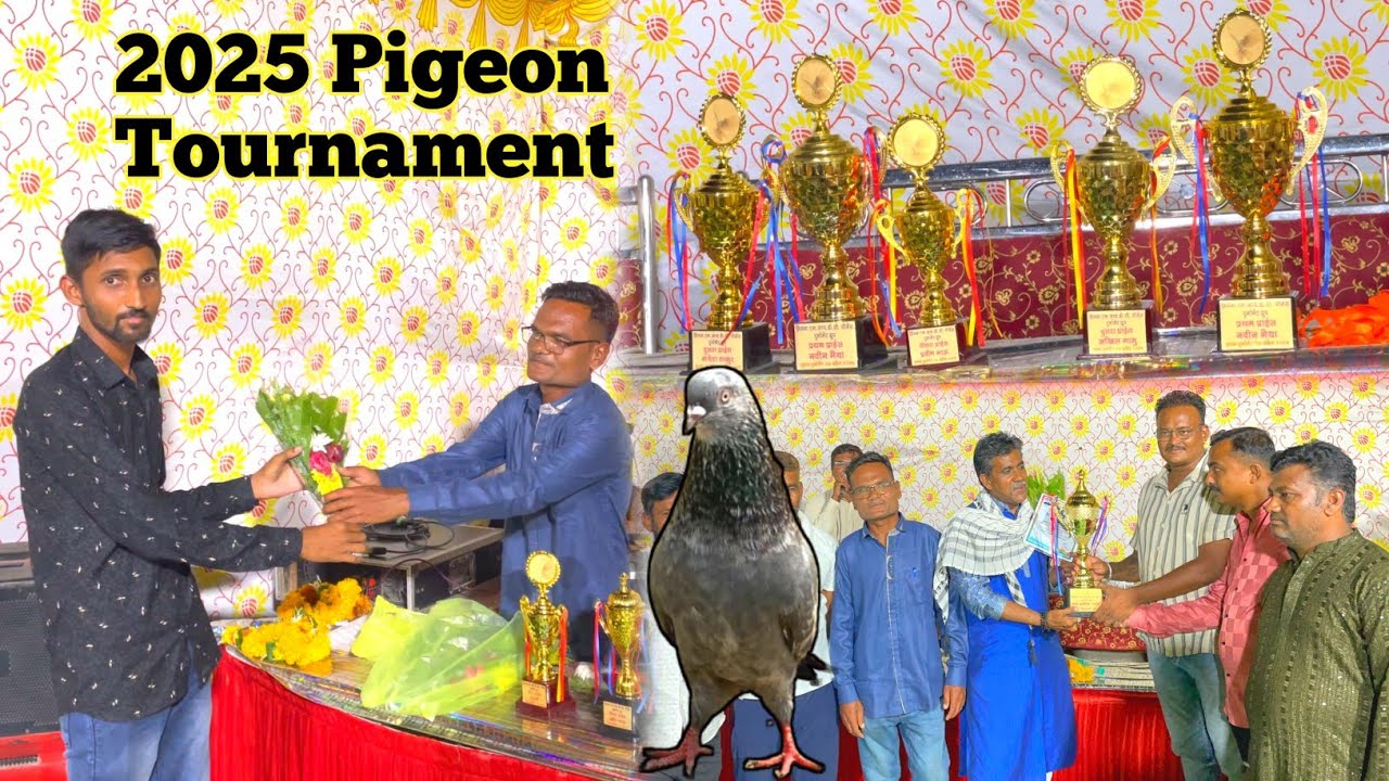 Nagpur Pigeon Tournament 2025  || Prize Distribution🏆 || कबूतर उड़ान प्रतियोगिता 🕊️