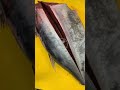 Butchering 12kg Yellowfin Tuna #shorts #shortsvideo #tuna #yellowfintuna #fish #seafood #foodporn