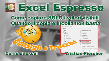 Consigli e Trucchi - Come copiare solo le celle visibili - Excel Espresso