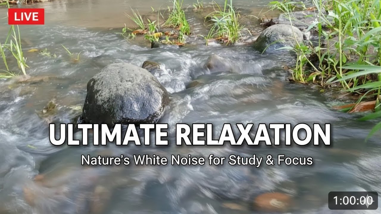 Spiritual Cleansing: 1 Hour Pure Water Flow for Meditation
