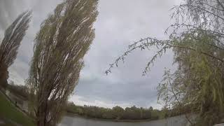 Chill fly at the park