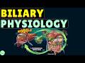 Biliary Physiology: Bile Acid Synthesis, Secretion, Composition, Function, Enterohepatic Circulation