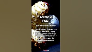 What is Forensic Entomology? | #forensicscience #forensics