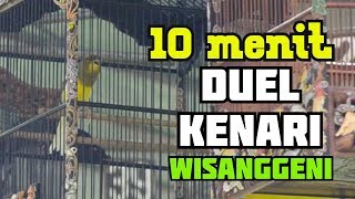 KAGAK HOKI..!! Inilah Aksi 10 Menit Adu Kualitas Kerja Kenari 80 Juta WISANGGENI