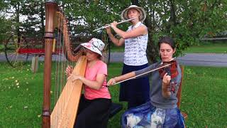 Download Lagu Auld Lang Syne - Harp, Violin \u0026 Flute trio MP3