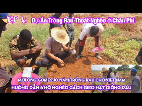 Hướng Dẫn 6 Hộ Nghèo Cách Gieo Hạt Giống. Dự Án TRông Rau Thoát Nghèo 6 Hộ nghèo ở Châu Phi