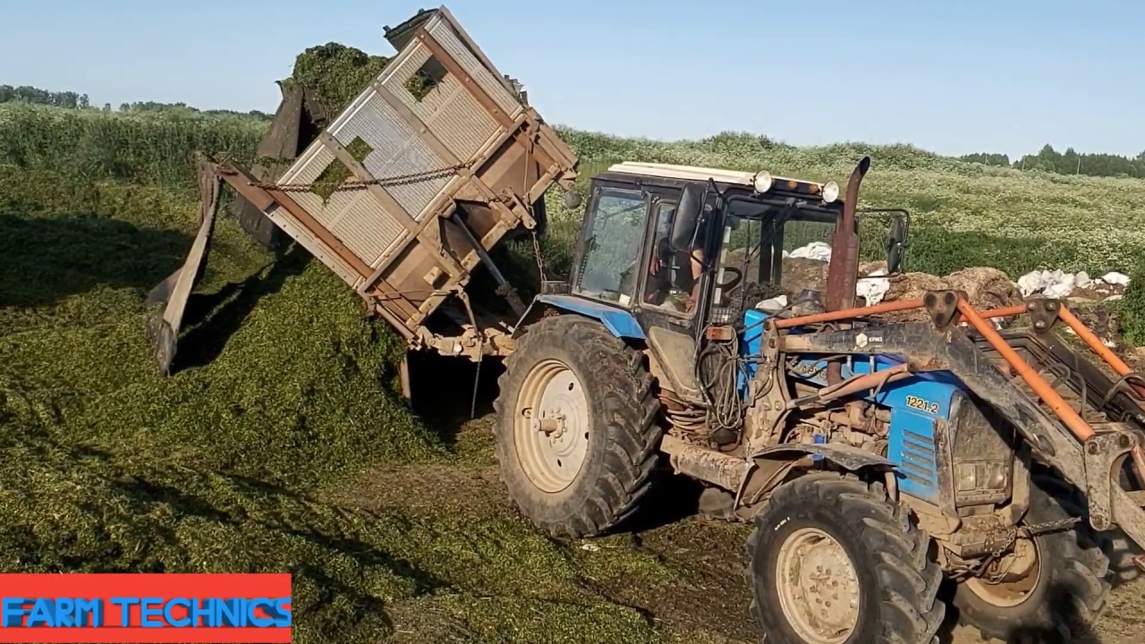 Камазы возят силос