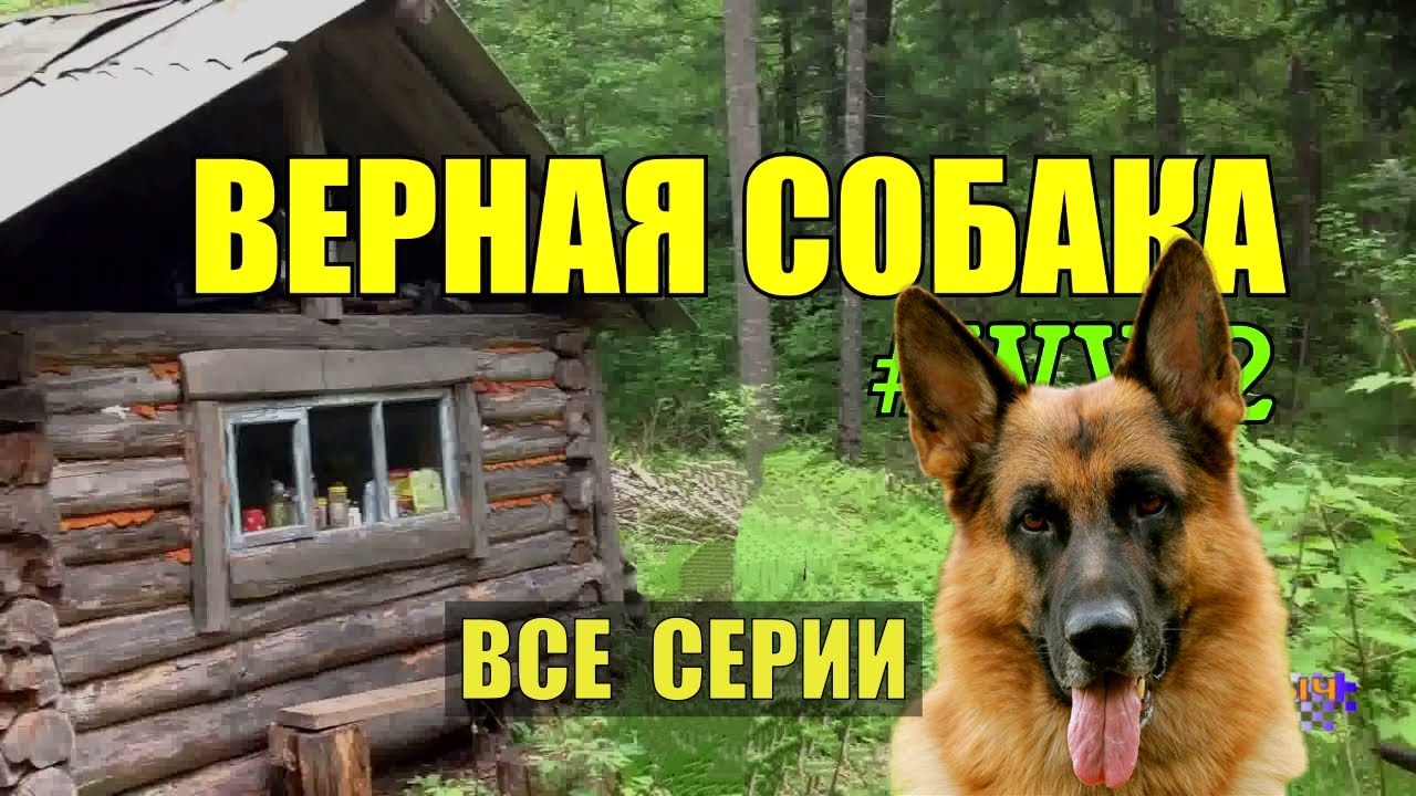 СЕРИАЛ ВЕРНАЯ СОБАКА ЯРАНГ ВСЕ СЕРИИ ДЕТЕКТИВ ВОЙНА ВТОРАЯ МИРОВАЯ ...