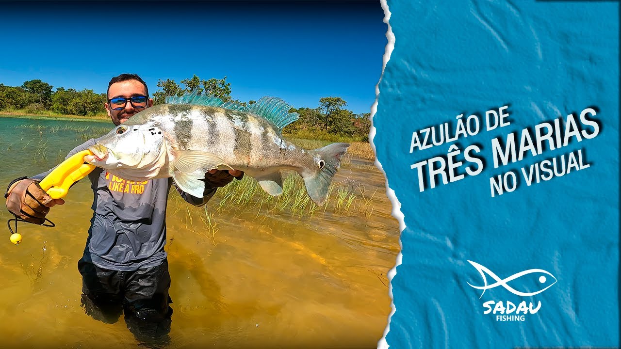 PESCARIA DE TUCUNARÉ AZUL E AMARELO EM MORADA NOVA DE MINAS / REPRESA DE TRÊS MARIAS - MG
