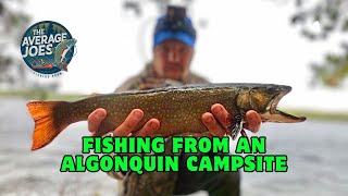 Algonquin Park Trout Fishing - Brook Trout Fishing from Shore