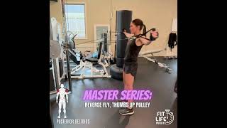 Rear Delts:  Reverse Fly, Thumbs Up, Mid Pulley Exercise