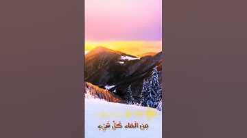 سورة الأنبياء وكأنك تسمعها لأول مرة🌺🌻🏵️؛.💚،💝💮..🌸بصوت الشيخ حمزة مدبو.ح🌻💞؛،💟💕..💘🧡💜