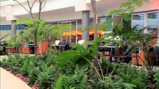 Menlyn Park Shopping Centre – New Grocery Lane screenshot 4