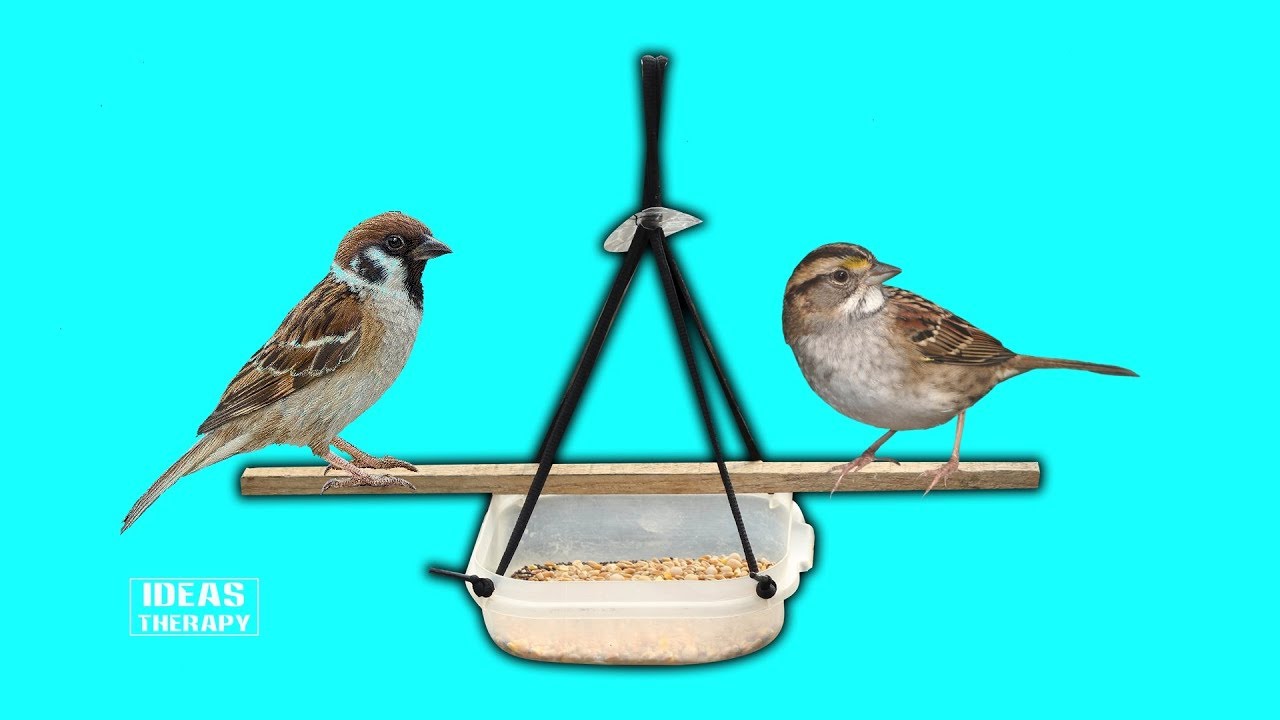 How To Make Wild Bird Feeder Waste Materials Homemade Try at home