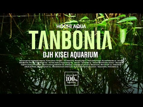 田んぼリウム アクアリウム 水槽 水草採取 Youtube 田んぼリウム アクアリウム 水槽 水草採取 Youtube