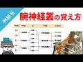 腕神経叢の覚え方