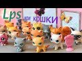 LPS/ моя КОЛЛЕКЦИЯ КОШЕК 🐱/cat collection Littlest pet Shop