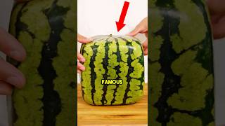 Japan’s Famous Square Watermelon 🍉
