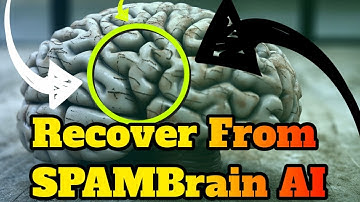SpamBrain AI Update Recovery