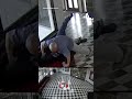 Wild video captures principal tackling gunman at high school