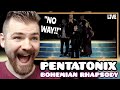 First Time Hearing PENTATONIX &quot;Bohemian Rhapsody&quot; | LIVE Hollywood Bowl 2022 | REACTION!