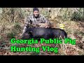 South Georgia Public Land Hog Hunting Vlog 2020