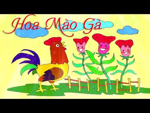 Video Hoa Mào Gà - Nhạc Thiếu Nhi - youtube