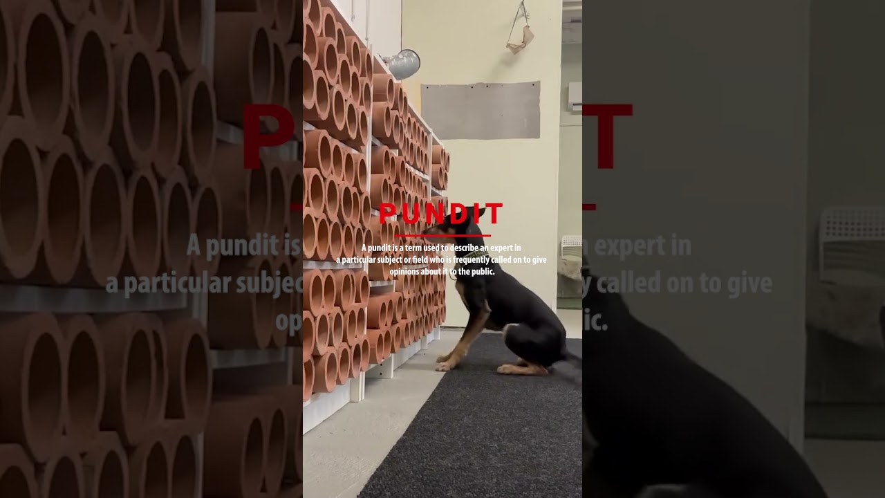 Пассивные индикации 