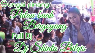 Pulau buah (Sungai Pinang) bergoyang °™ dj shinta bilqis √ OT Wika SangpenjelajahSumsel