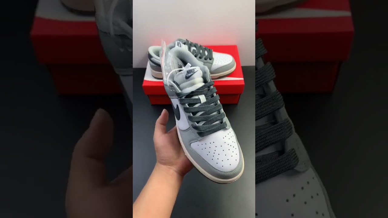 Nike Dunk Low White Light Smoke Grey Black DD1503 117