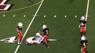 20151101 4th Qtr Dolphins vs Vikings Superbowl