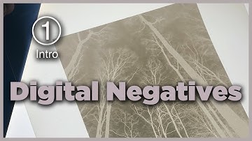 The Digital Negative - Part One - Introduction