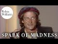 Robin williams spark of madness