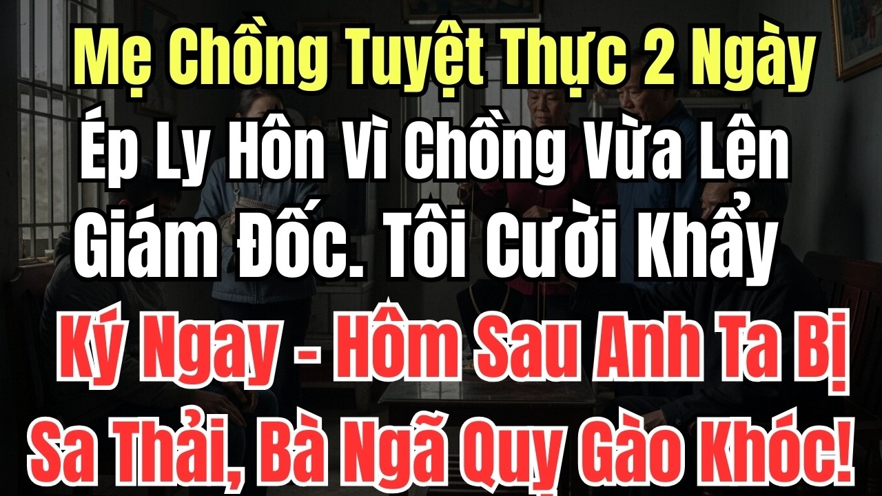 Mẹ Chồng Tuyệt Thực 2 Ngày Ép Ly Hôn Vì Chồng Vừa Lên Giám Đốc. Tôi Cười Khẩy Ký Ngay – Hôm Sau Anh