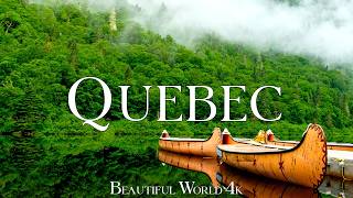 Quebec 4K 🌳 Canada's Green Kingdom of Ancient Forests and Mirror Lakes