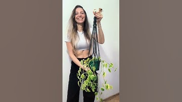 Aula nova no canal já já! #macrame #macrametutorial #decoração #decor #plantadecasa #decoracao