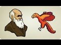 فيديو: what is evolution - ما هي نظرية التطور http://youtu.be/TMmz-pcVkNE