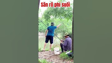 #shorts Săn Rô Phi Suối #youtubeshorts