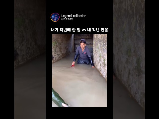 내가 작년에 한 일 vs 내 작년 연봉