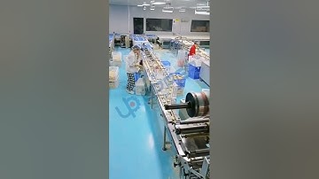 double lane biscuit workshop packing livesteam