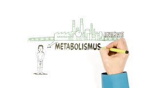 Metabolismus - o přeměně látek - NEZkreslená věda III