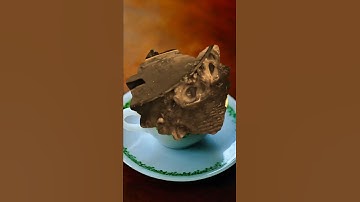 Severe Jigger Removal and Treatment #845548