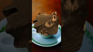 Severe Jigger Removal and Treatment #845548