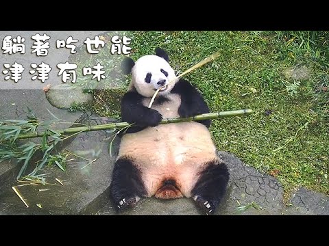 《熊貓早晚安》躺著吃也能津津有味 | iPanda熊貓頻道