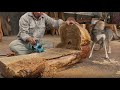 Extremely Unique Coffee Table Made From Large Tree Trunks // The Unlimited Creativity of Carpenters