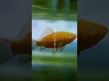 言いたいことも言えないし